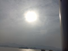 -西湖外事游船(花港观鱼码头)