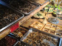 水产区-昆虫窝子·特色云南菜(拓东路总店)