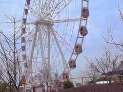-自然谷恐龙园