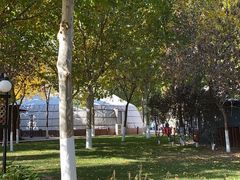 -九十九顶毡房(阜石路店)