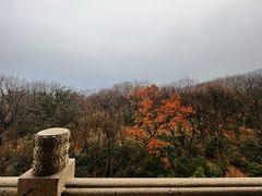 -灵谷景区