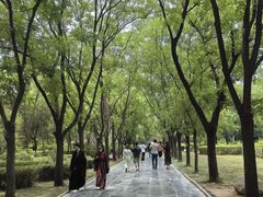 -洛阳白马寺