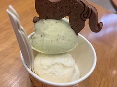 -陕拾叁-西安糕点(大雁塔店)