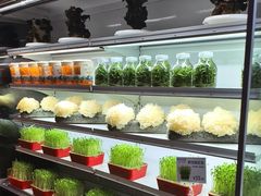 -番食园鲜食火锅(高新店)