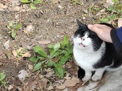 -同济大学(嘉定校区)