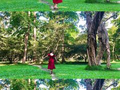 -华南国家植物园-售票处