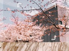 -龙美术馆(西岸馆)