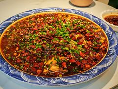 -新概念来凤鱼(璧山店)