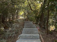 -顺峰山公园