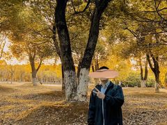 -艾溪湖湿地公园