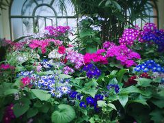 -墨尔本皇家植物园