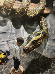 -Zoolung Zoolung动物主题公园(海信广场店)