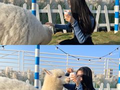 -Blue Concept Cafe&Farm·關於藍
