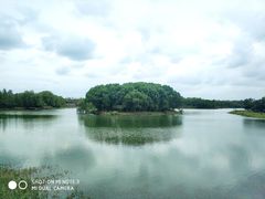 -尚湖风景区