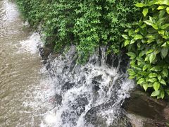 -上海怡沁园度假酒店