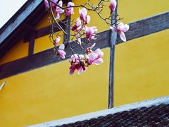 -阿育王寺