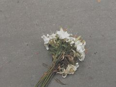 -南京瀚金佰九号温泉酒店