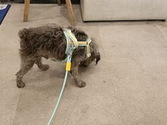 -宠颐生汉谟拉比宠物医院