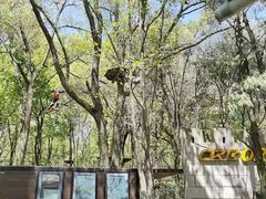 -WeLope紫金山探险公园