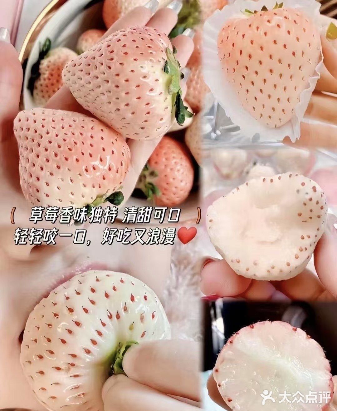 邂逅甜蜜 | 一口坠入草莓味的梦幻