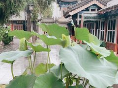 -万寿八仙宫