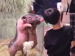 -正佳雨林生态植物园