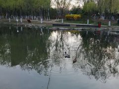 -前关湿地公园