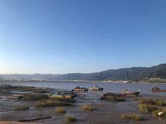 -北岐滩涂