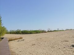 -东郊湿地公园
