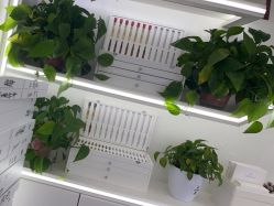 -蕾特恩专业祛痘·皮肤管理