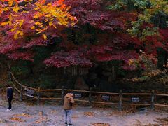 -关门山森林公园