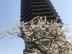 -玲珑塔公园