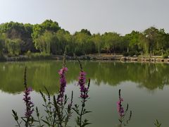 -云龙湖旅游景区
