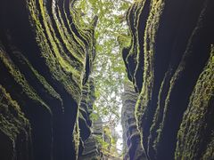 -梭布垭石林景区