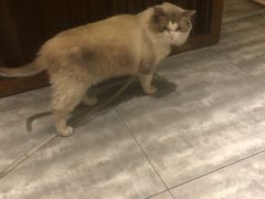 -花间小酌火锅小酒馆(吕四店)