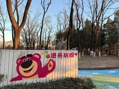-青龙湖公园