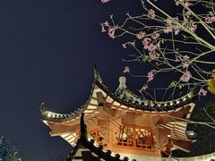 -四海公园(南山区)