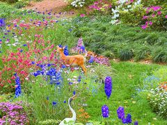 -上海共青森林公园