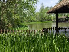 -溱湖国家湿地公园