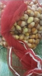 -MORI茉丽日本美甲美睫