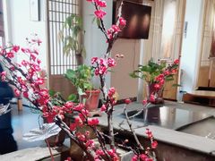 -盘子女人坊(西安至尊店)