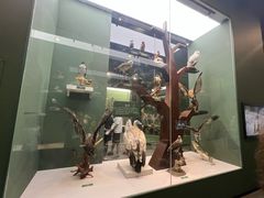 -国家自然博物馆