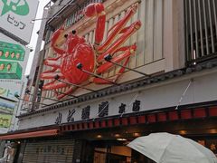 -蟹道乐(道顿堀本店)
