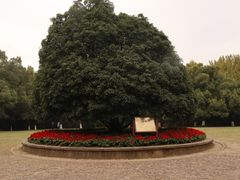 -灵谷景区