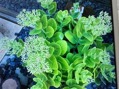 -超群咖啡葡式美食(南贵花园店)