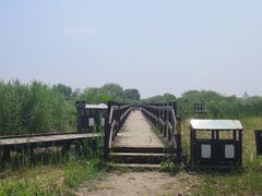 -西青郊野公园