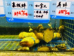 -骏莱海鲜鱼港(五角场店)