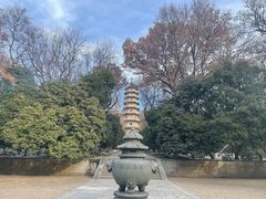 -灵谷景区