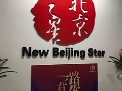 -北京之星奔驰4S店(亦庄店)