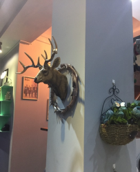 -HANYI韩艺形象店